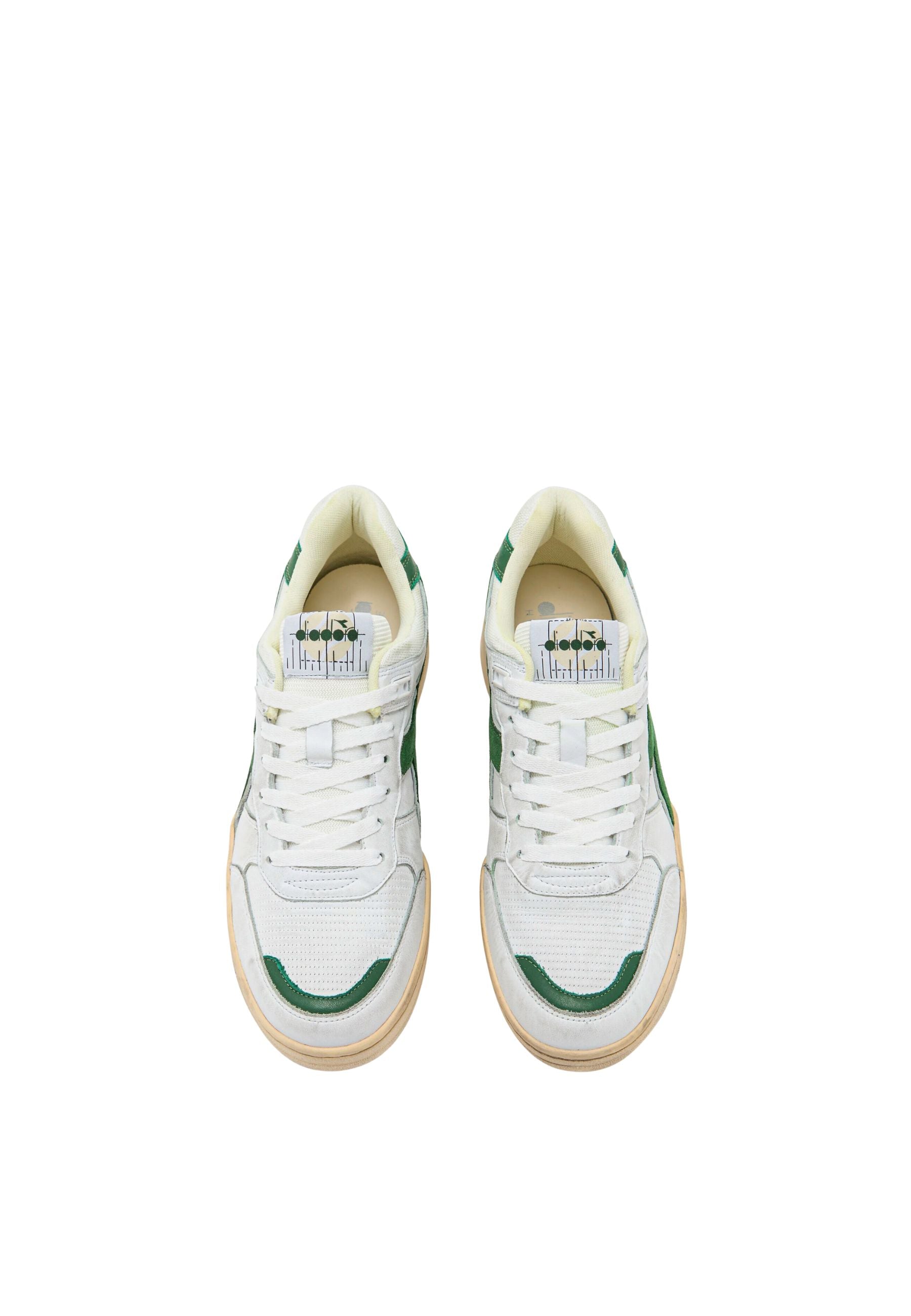 B.560 APULIA USED ITALIA