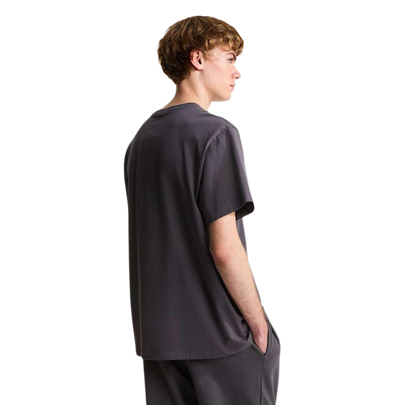 The North Face T-shirt Grigio Uomo