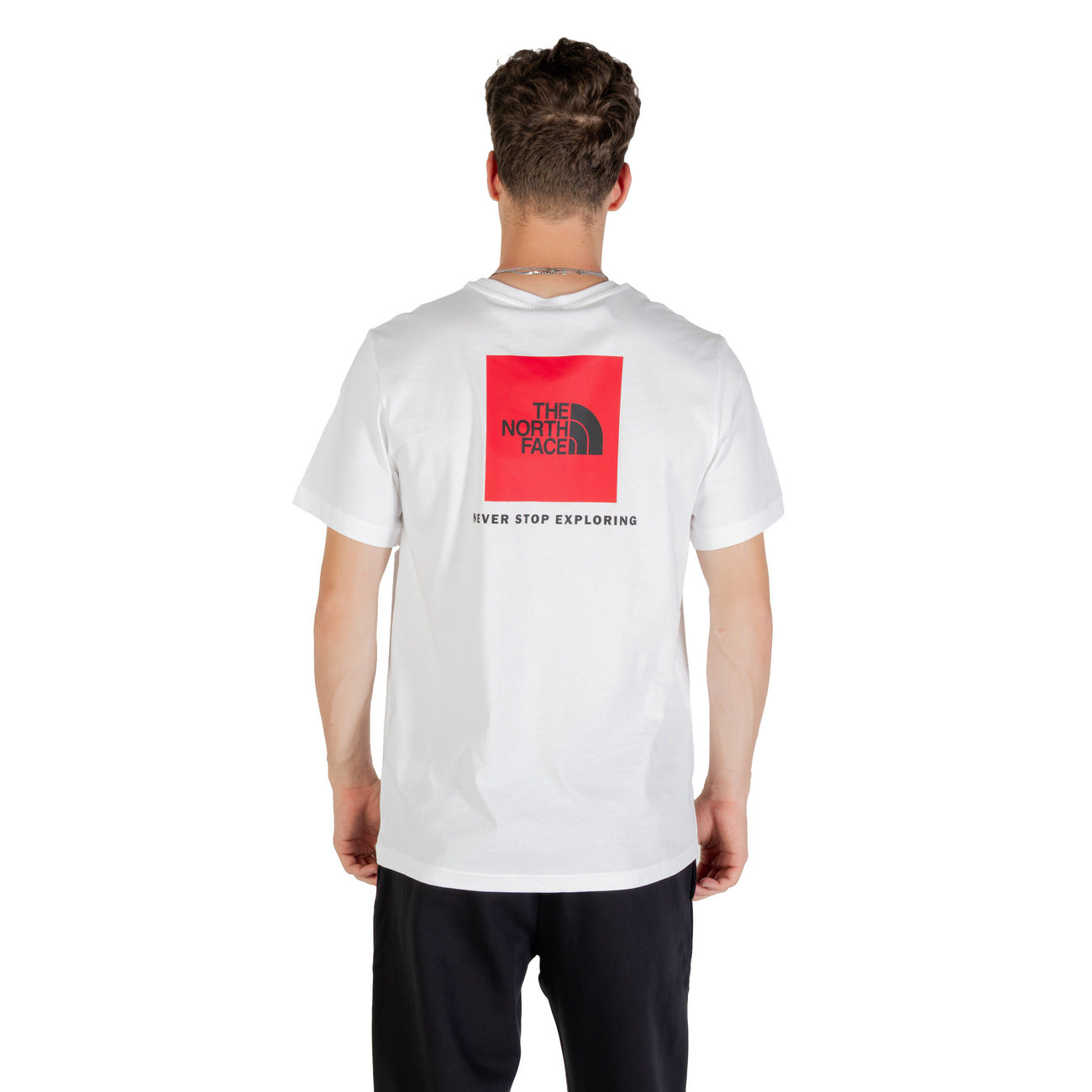 T-shirt Uomo Stampa Autunno/Inverno - The North Face