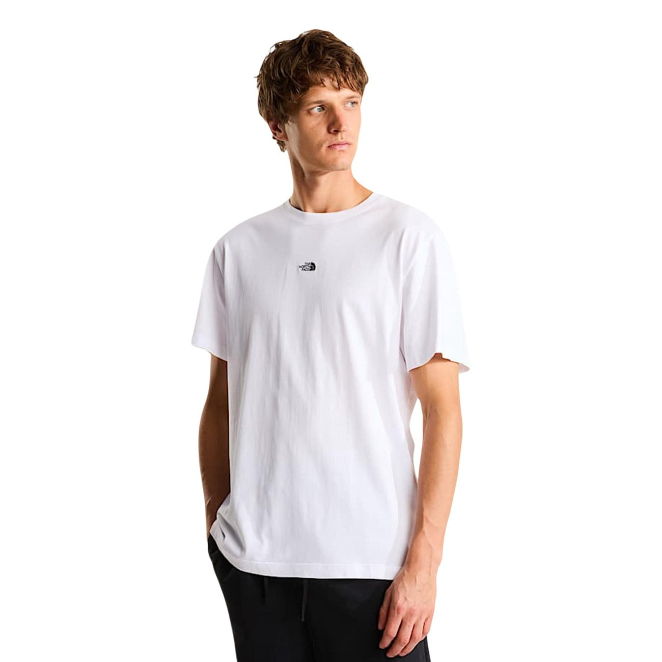 The North Face T-shirt Grigio Uomo
