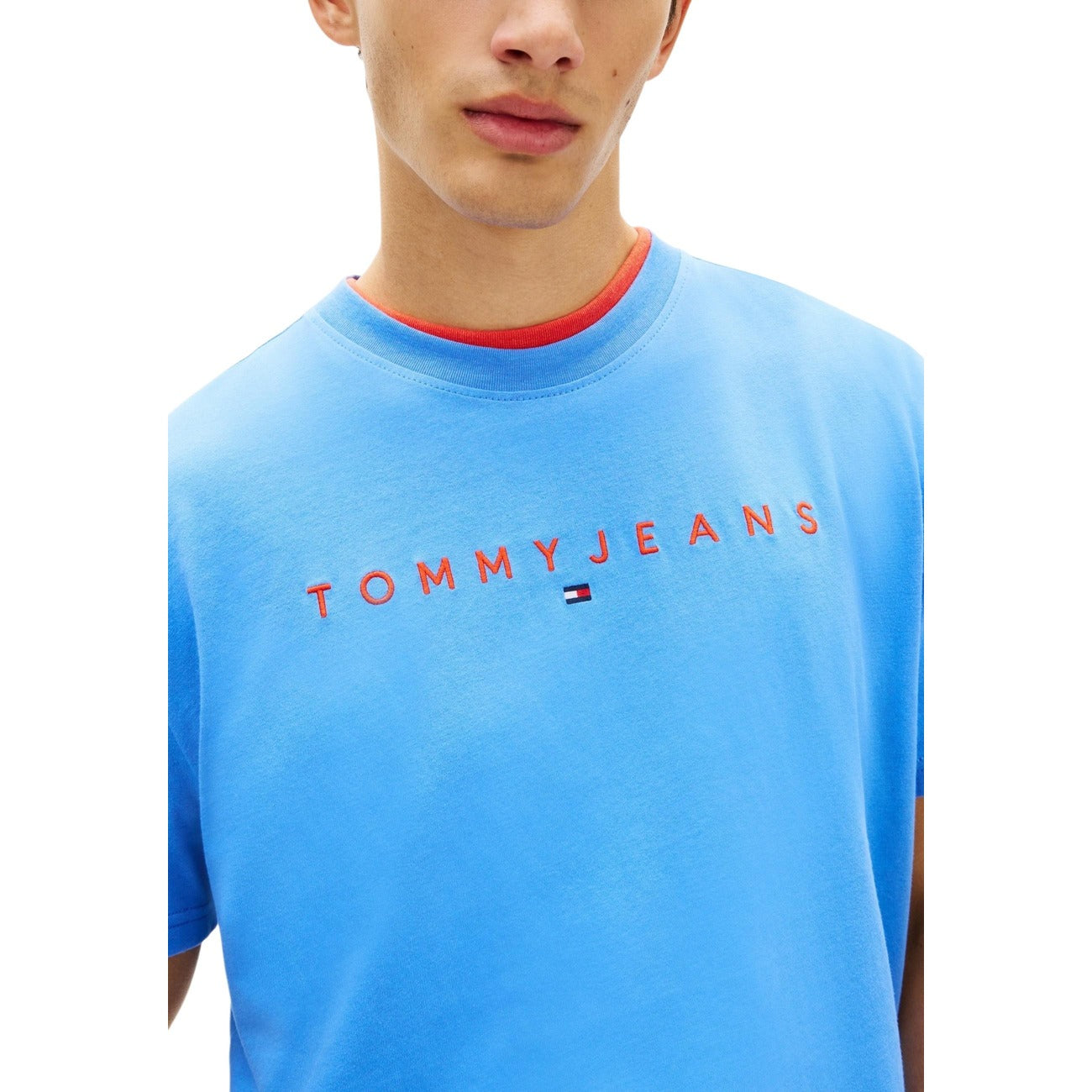 DM0DM20744 Tommy Hilfiger Azzurro