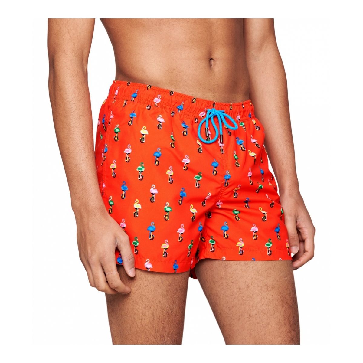 Flamingo Swimshorts