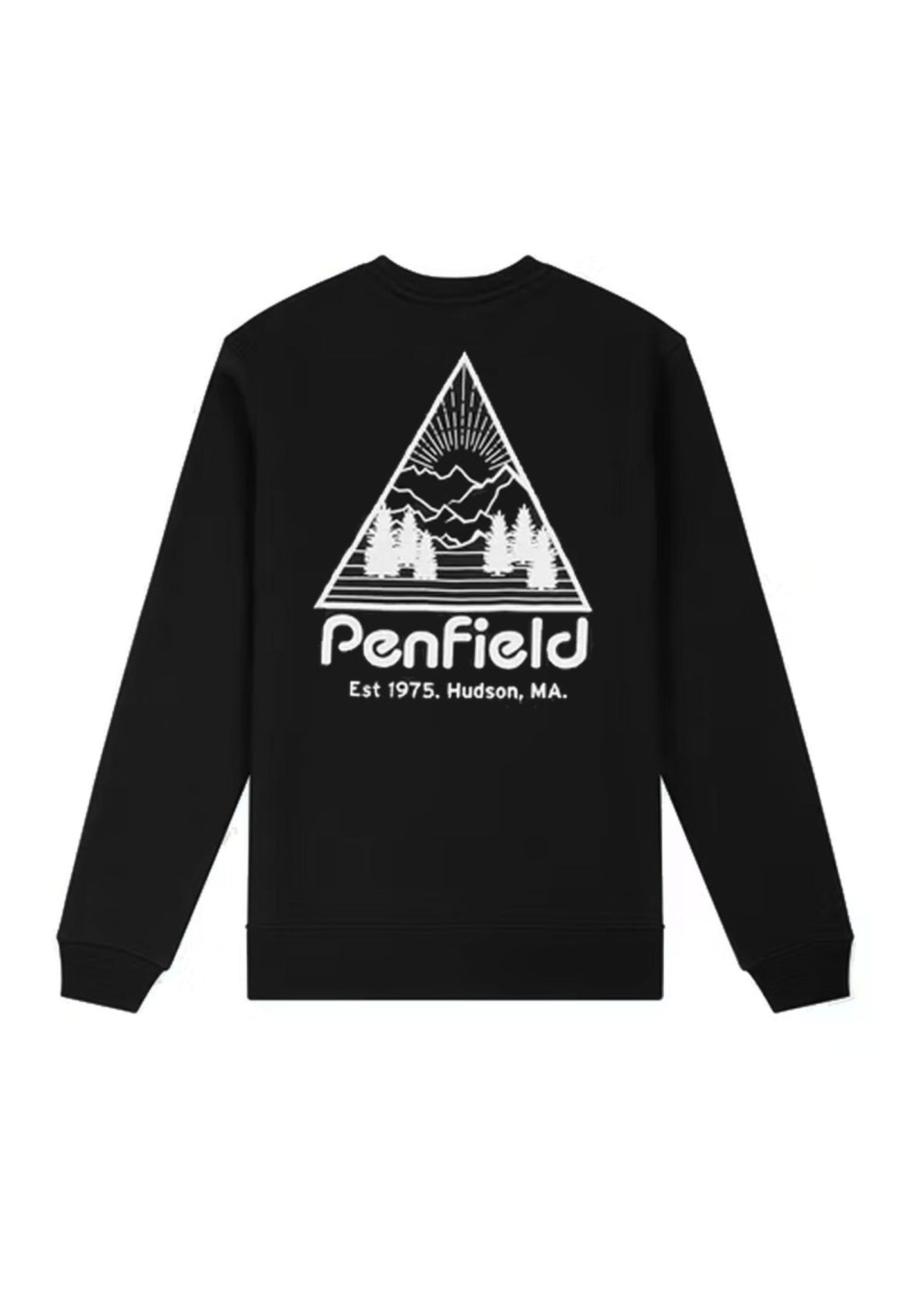 Felpa girocollo Triangle Mountain Back Graphic