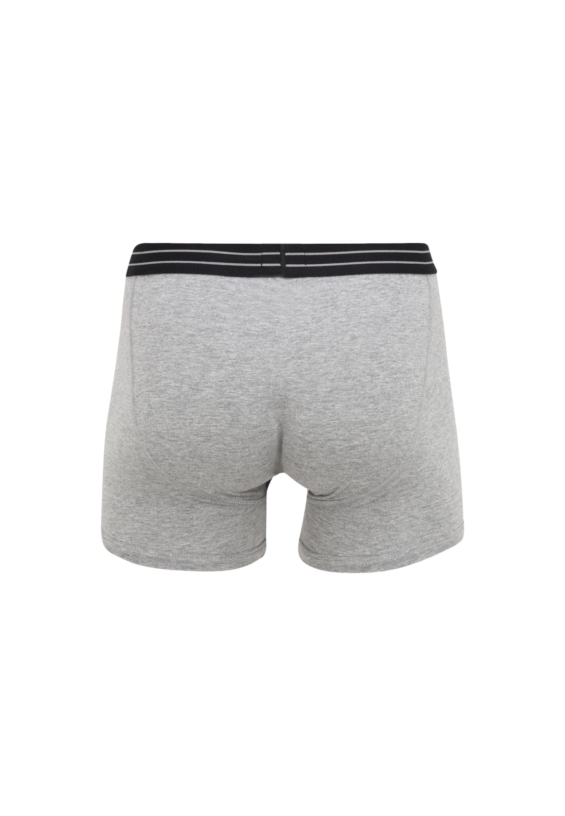 Boxer Lewis