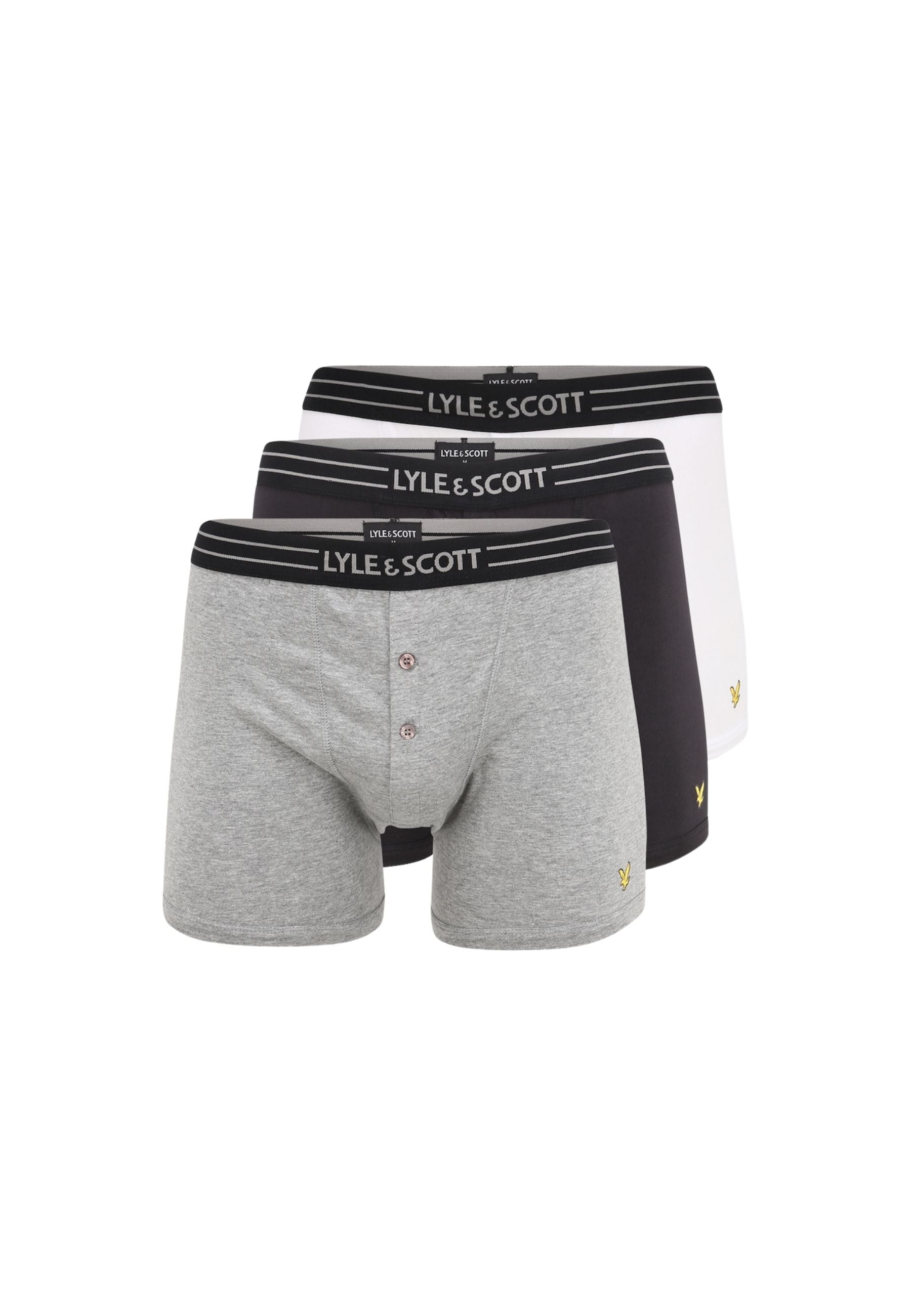 Boxer Lewis